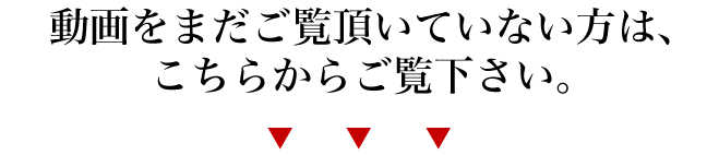 動画をまだご覧頂いていない方は、こちらからご覧下さい。